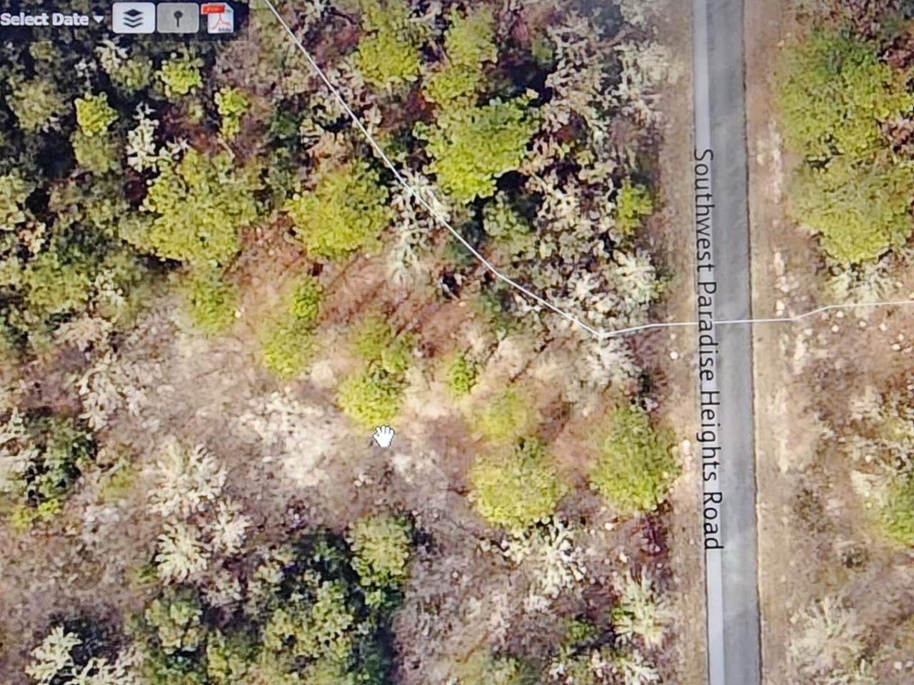 000 Paradise Heights Road - Photo 1