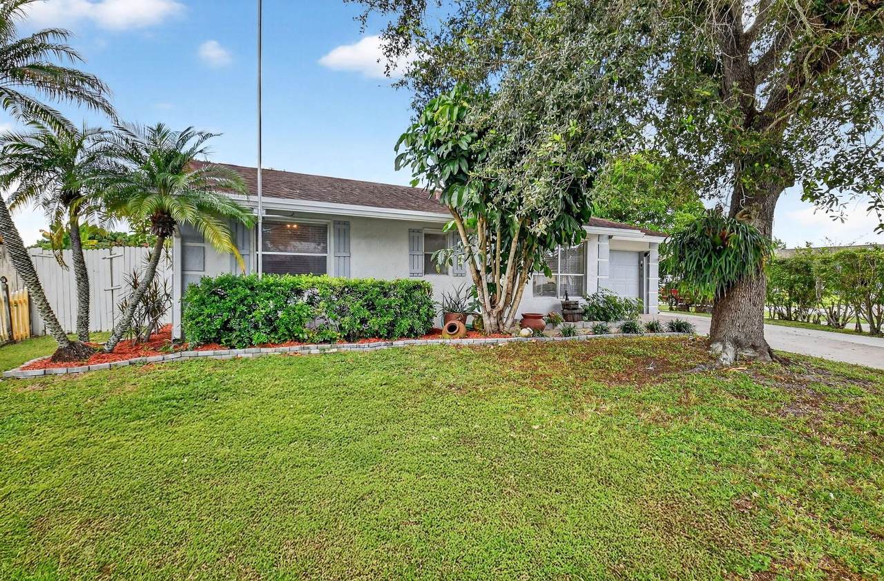 6533 Athena - Photo 1