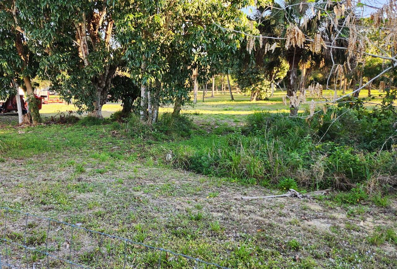 0 Savannah Road - Photo 1