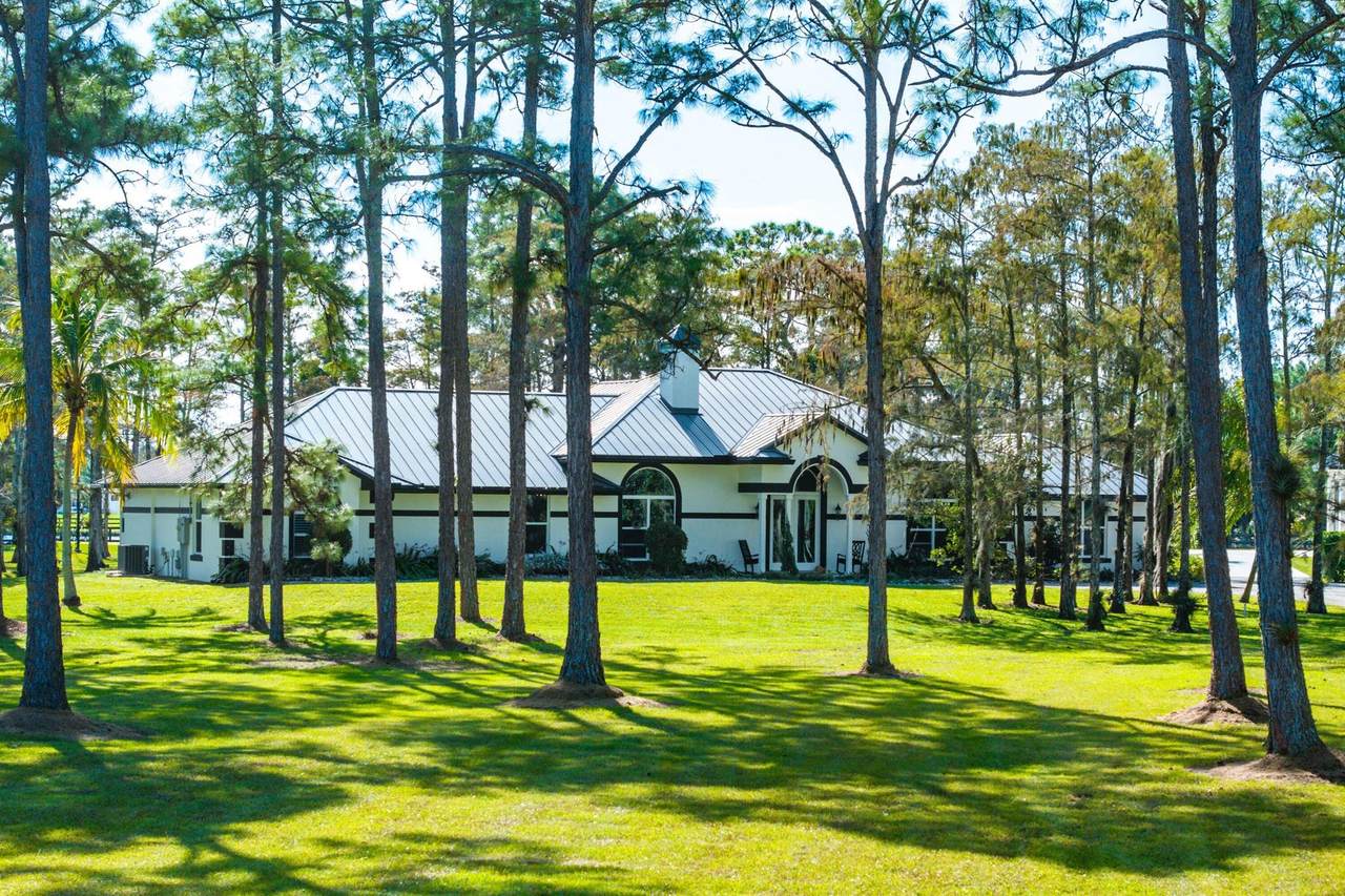 11230 Alligator - Photo 1