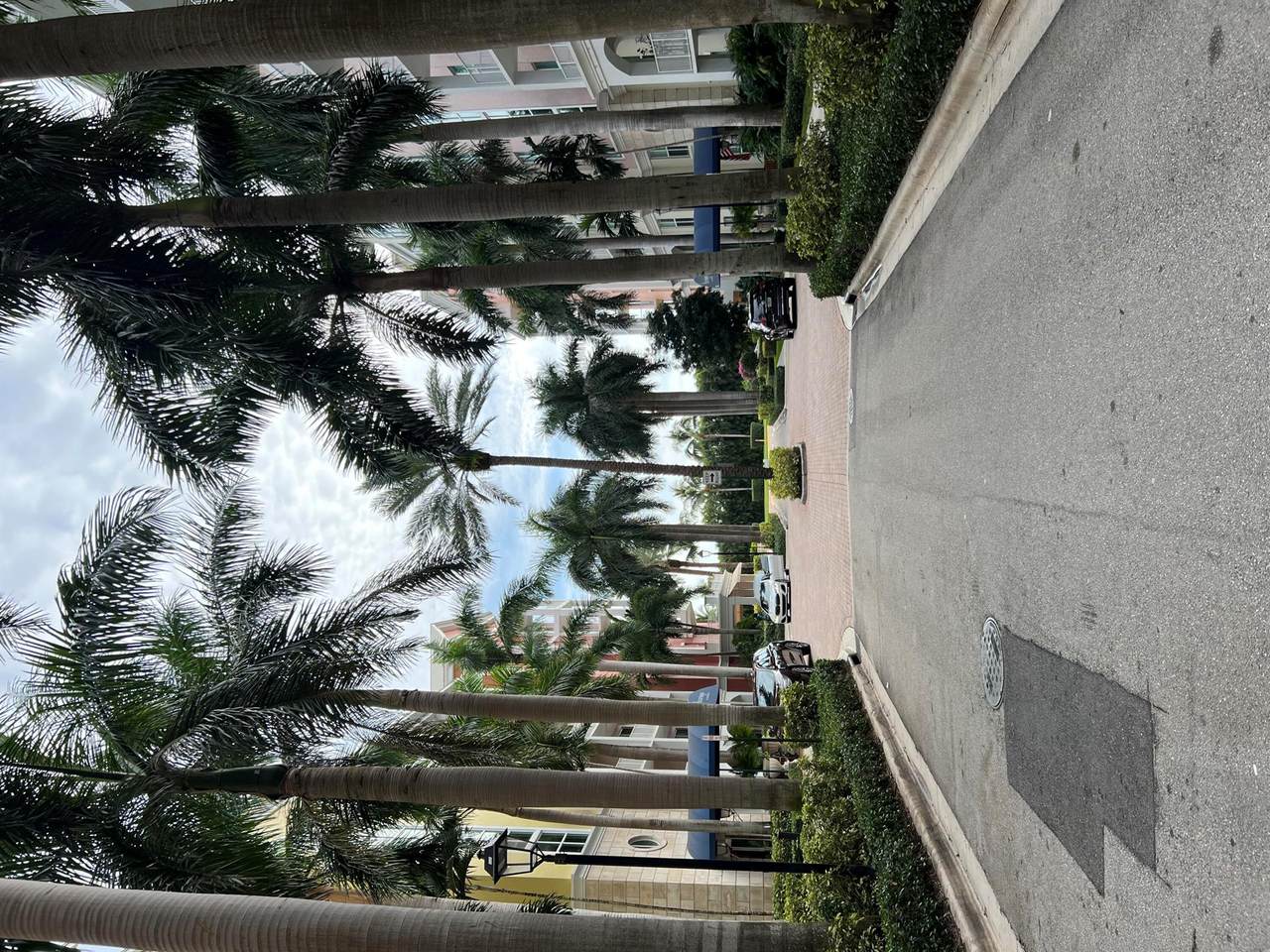 806 Windward - Photo 1