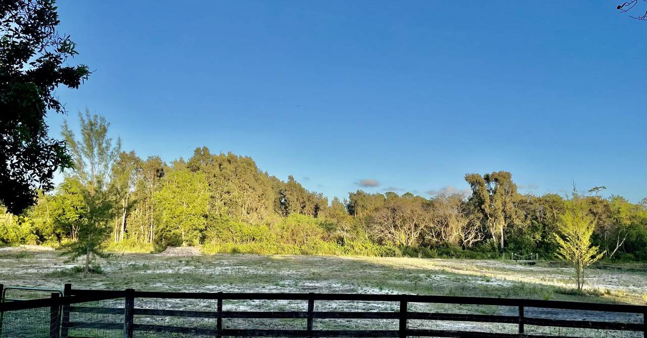 12398 Tangerine - Photo 1