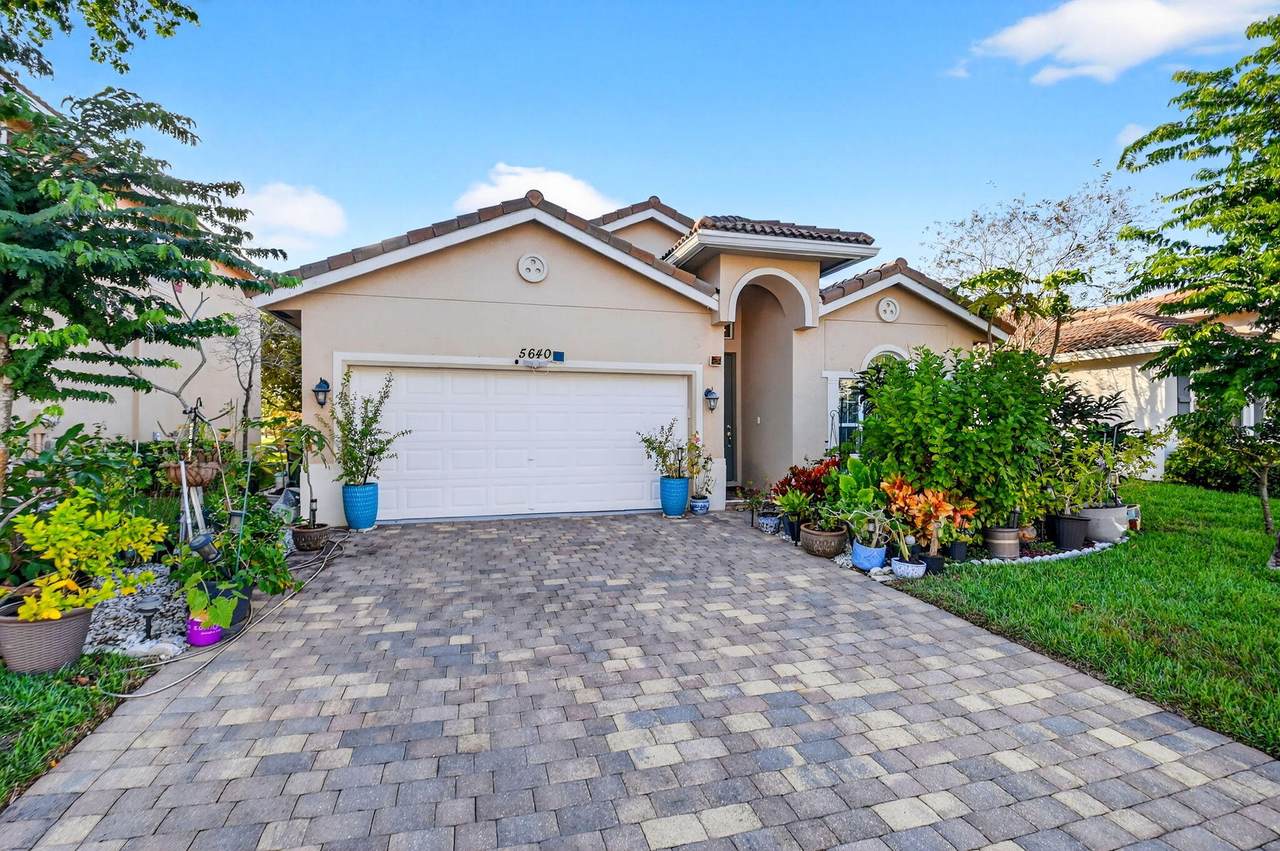 5640 Caranday Palm Drive - Photo 1