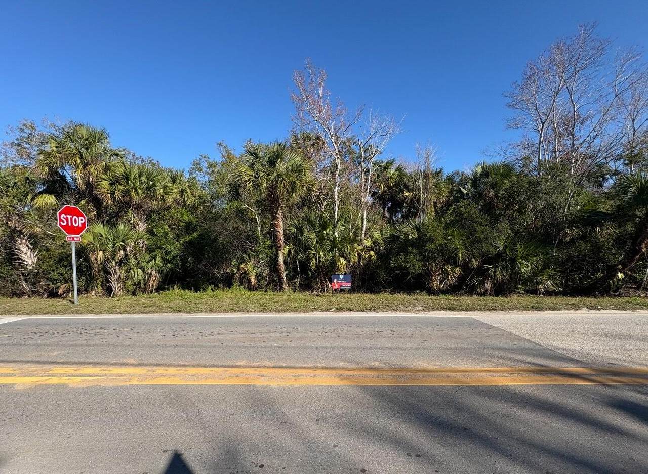 3305 Weber Road - Photo 1