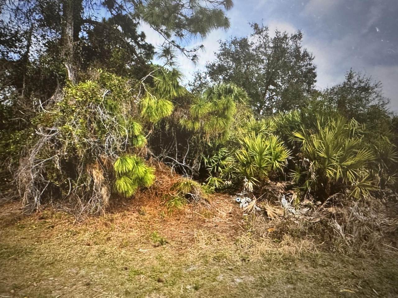 Tbd Trilby - Photo 1