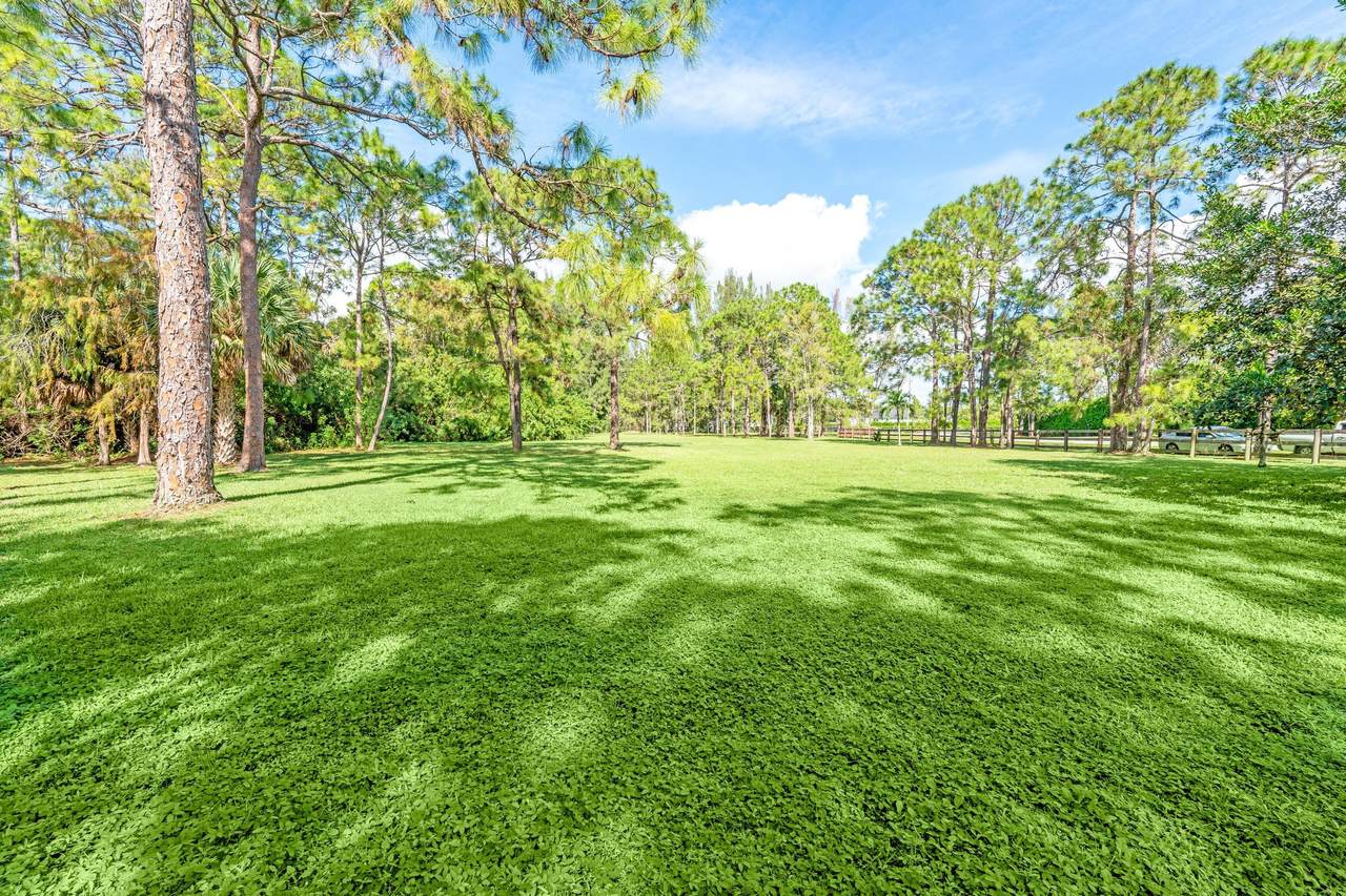 Lot 19 Duckweed Road - Photo 1