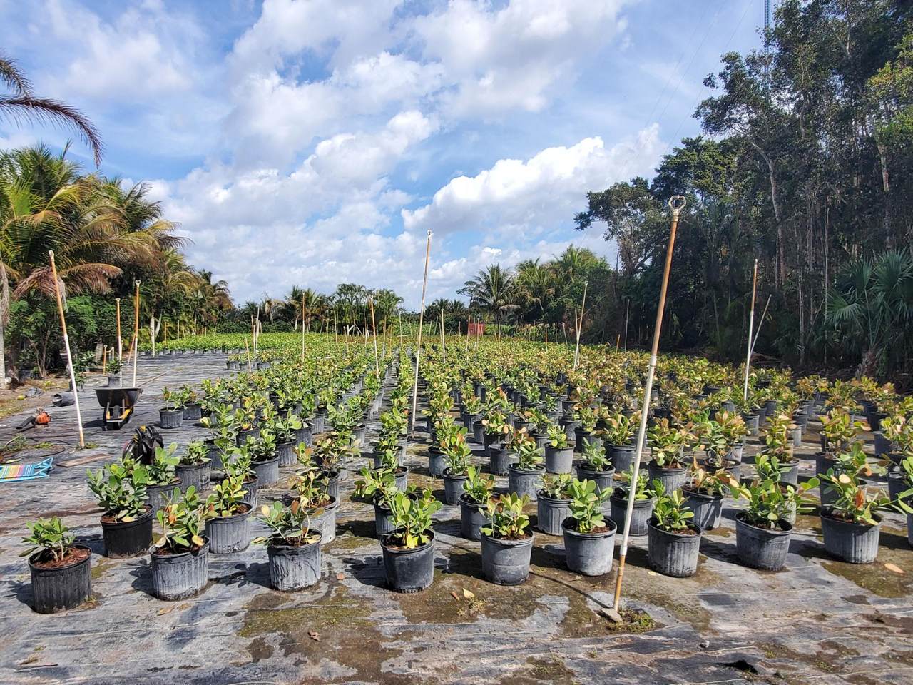 10655 61 Street - Photo 1