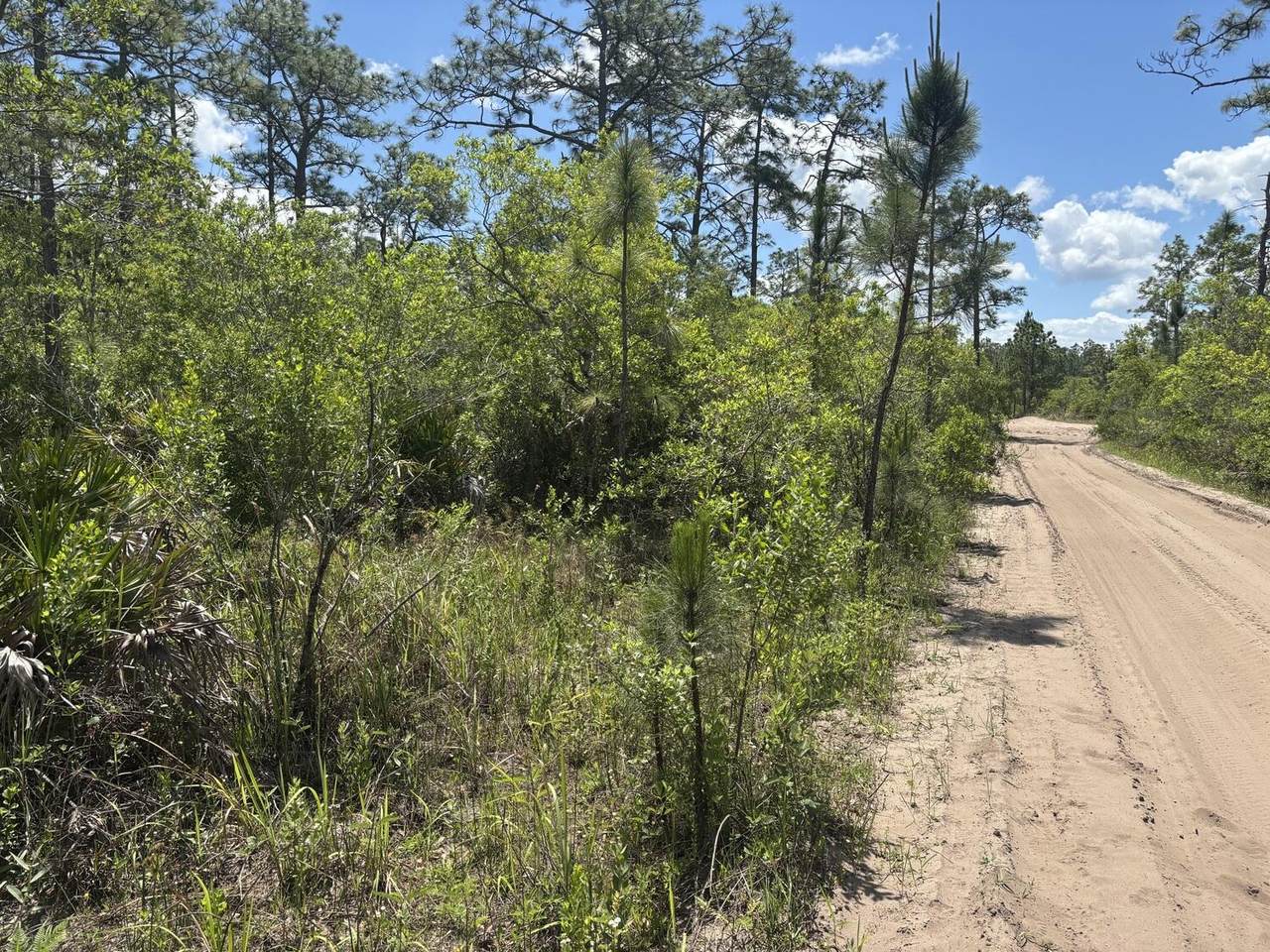 0 Holopaw Groves Road - Photo 1