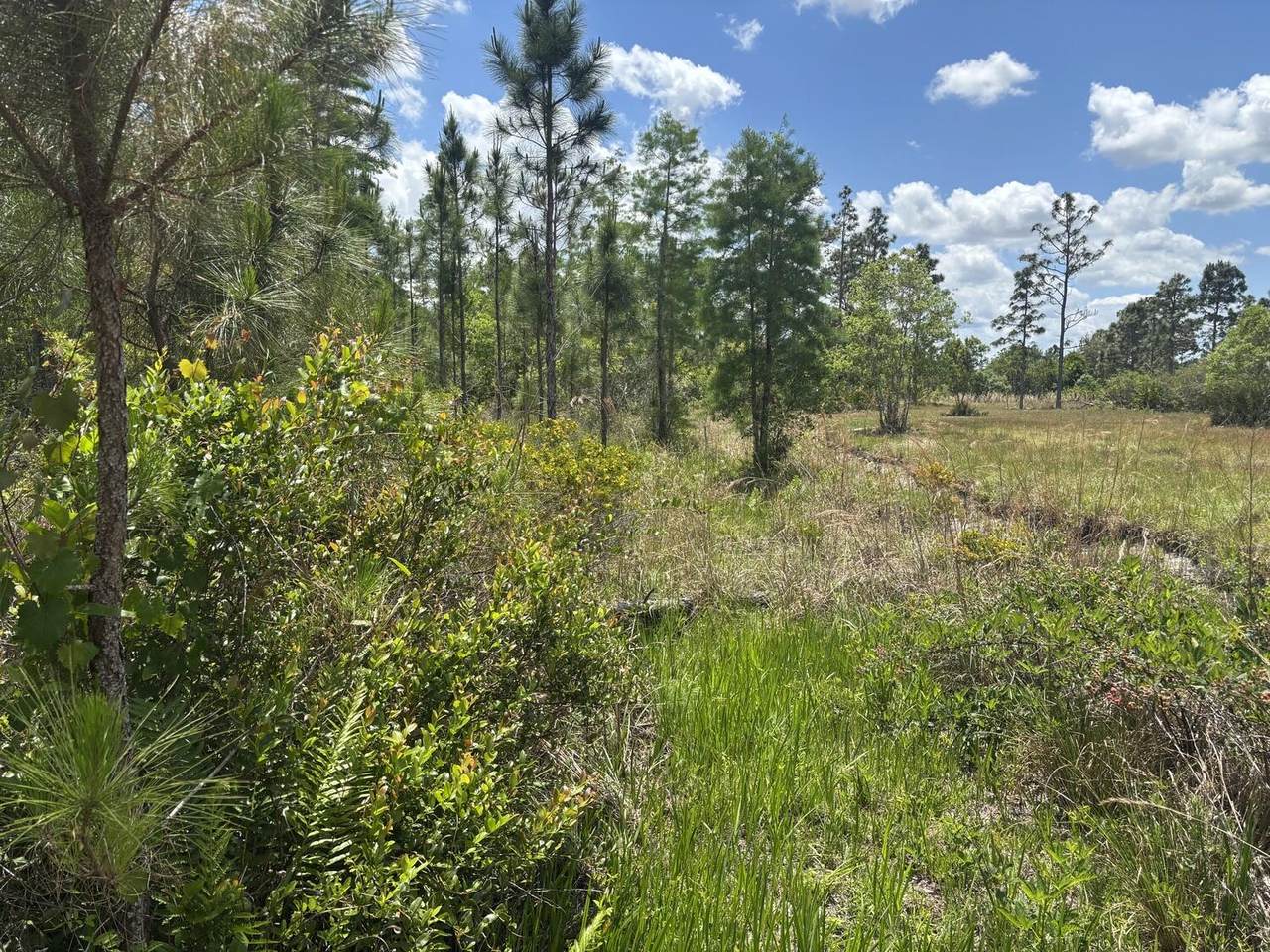 0 Holopaw Groves Road - Photo 1