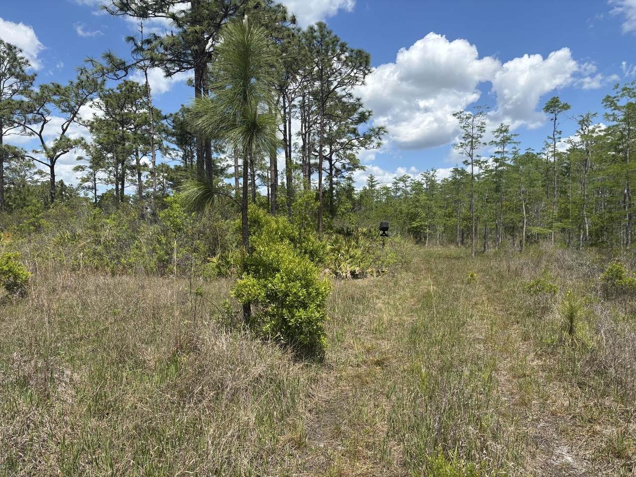 0 Holopaw Groves Road - Photo 1