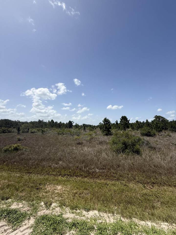 15463 306th Street - Photo 1