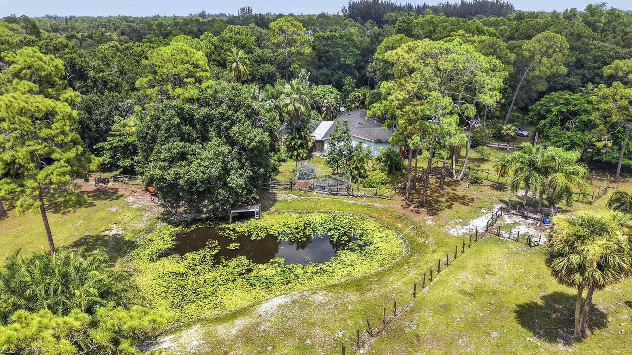 15182 Steffen Lane - Photo 1
