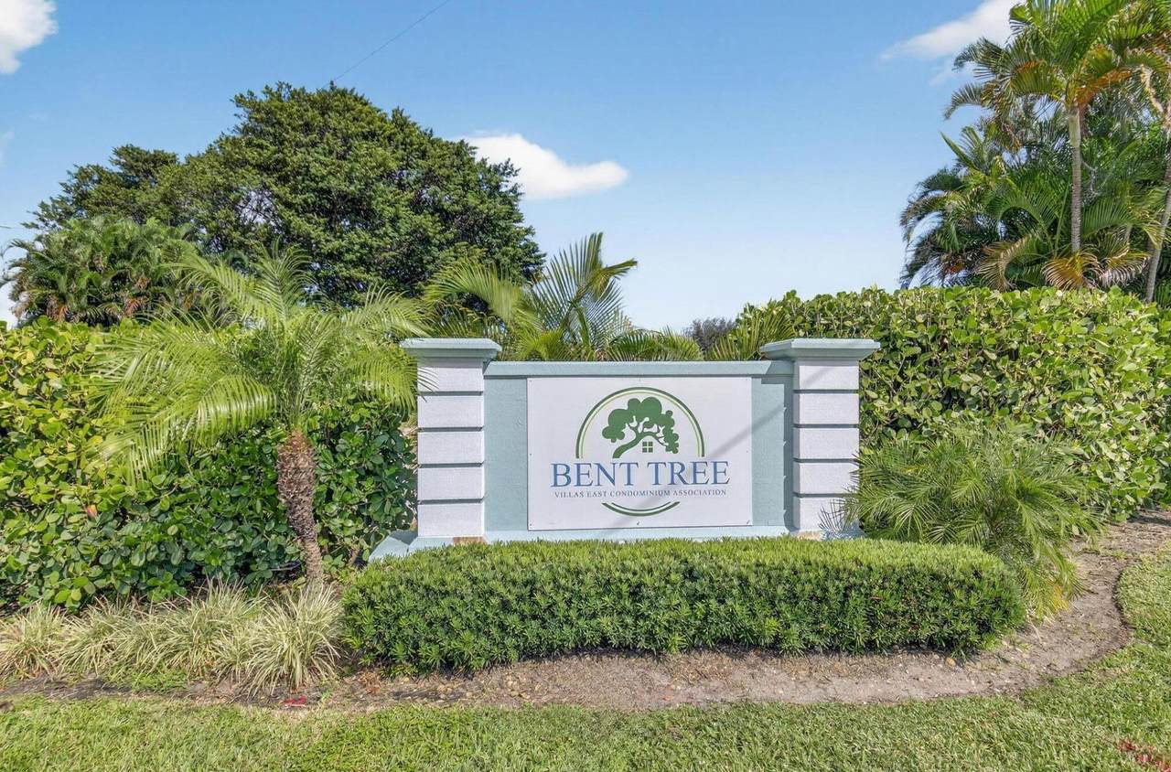 9965 Papaya Tree Trail - Photo 1