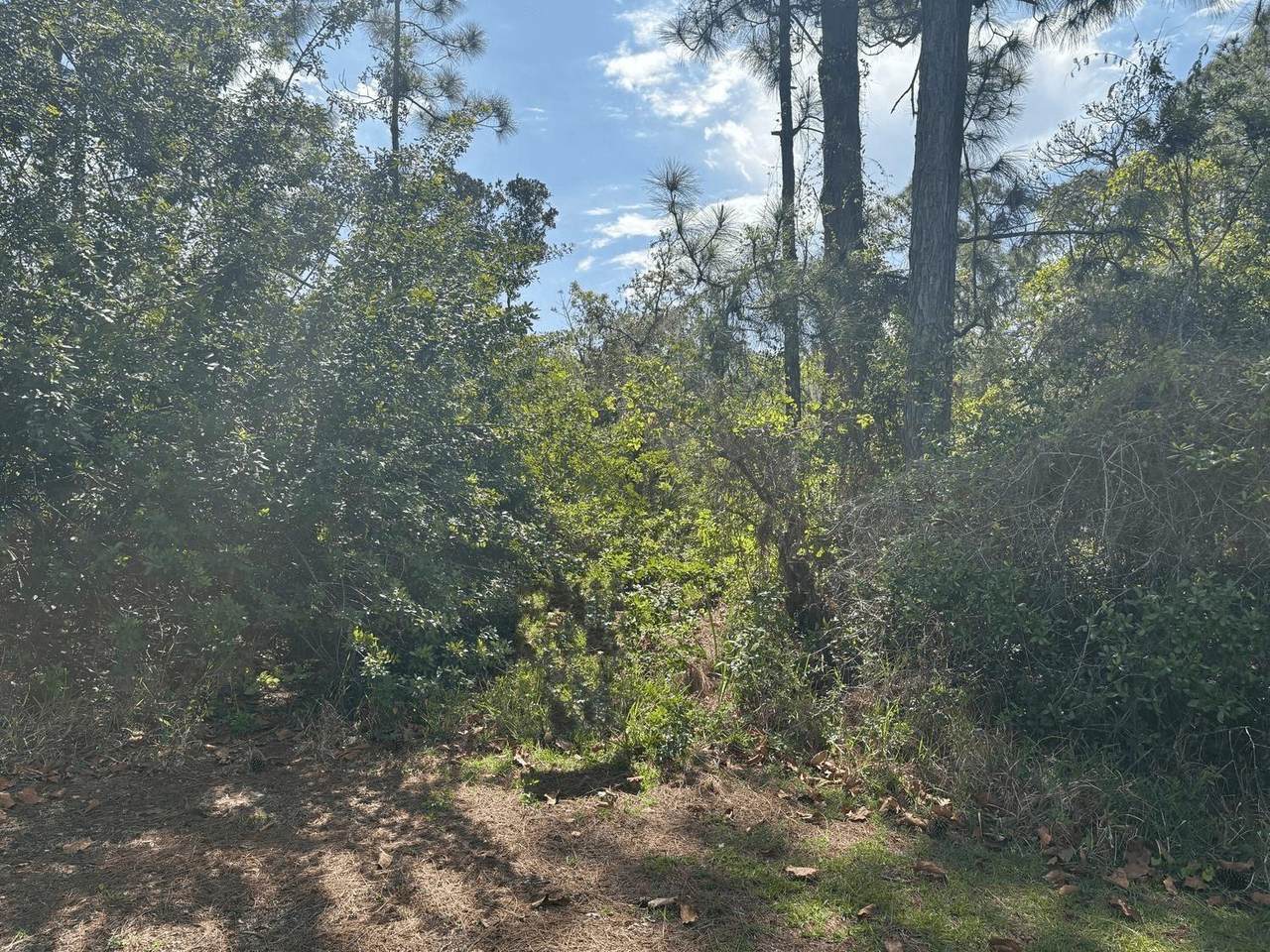 229 Caswell Ln - Photo 1