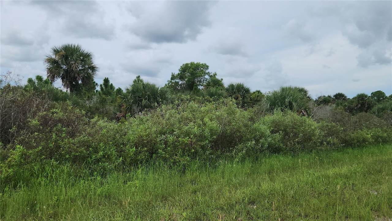 14988 316th Street - Photo 1
