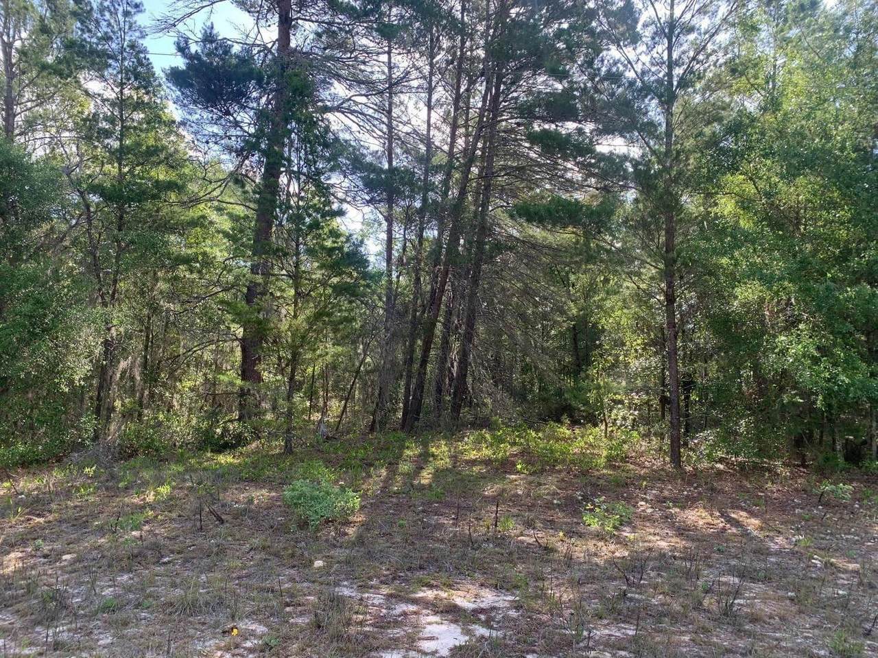 0 Evans Ave - Photo 1