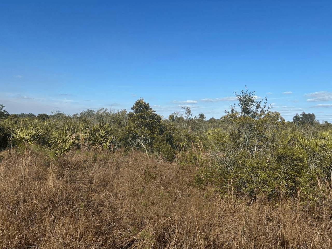 0 290th St - Photo 1