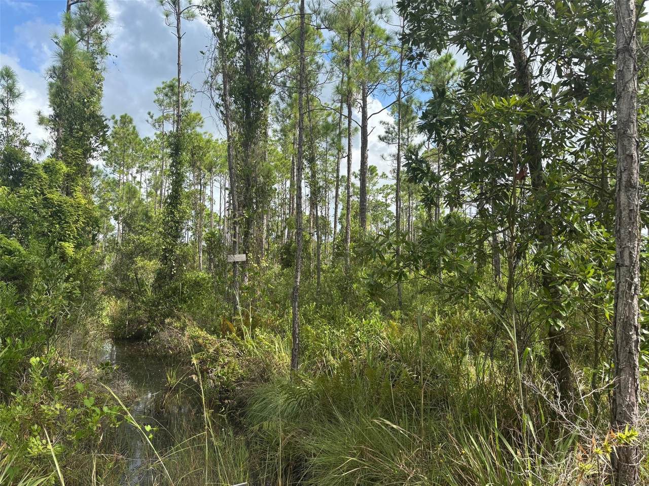 0 Co Rd 630 - Photo 1