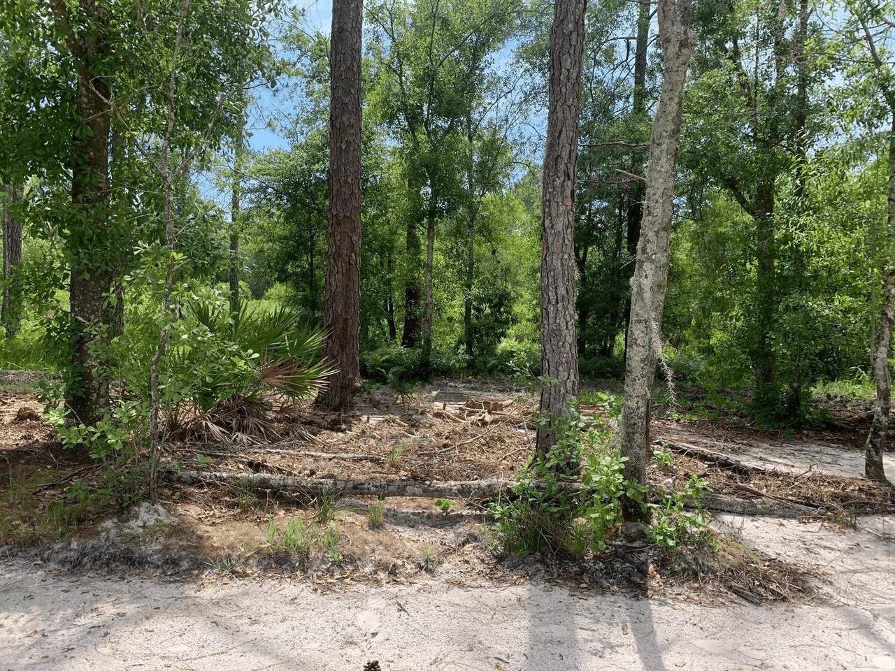 0 County Rd 54 - Photo 1