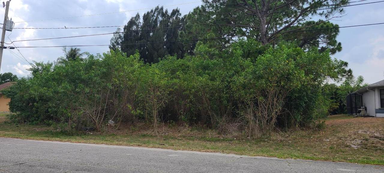 3243 Pinto Street - Photo 1