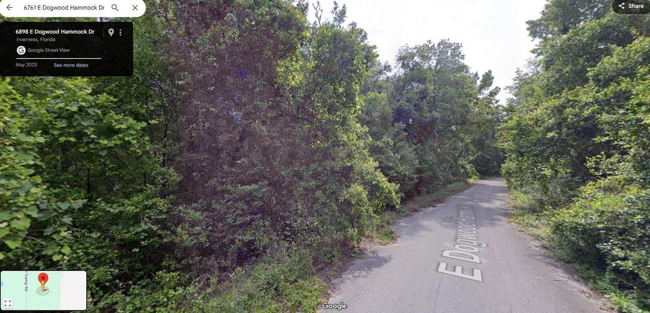 6761 Dogwood Hammock Drive - Photo 1