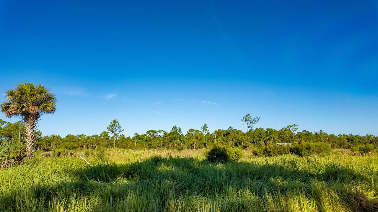 29460 Polk Drive - Photo 1