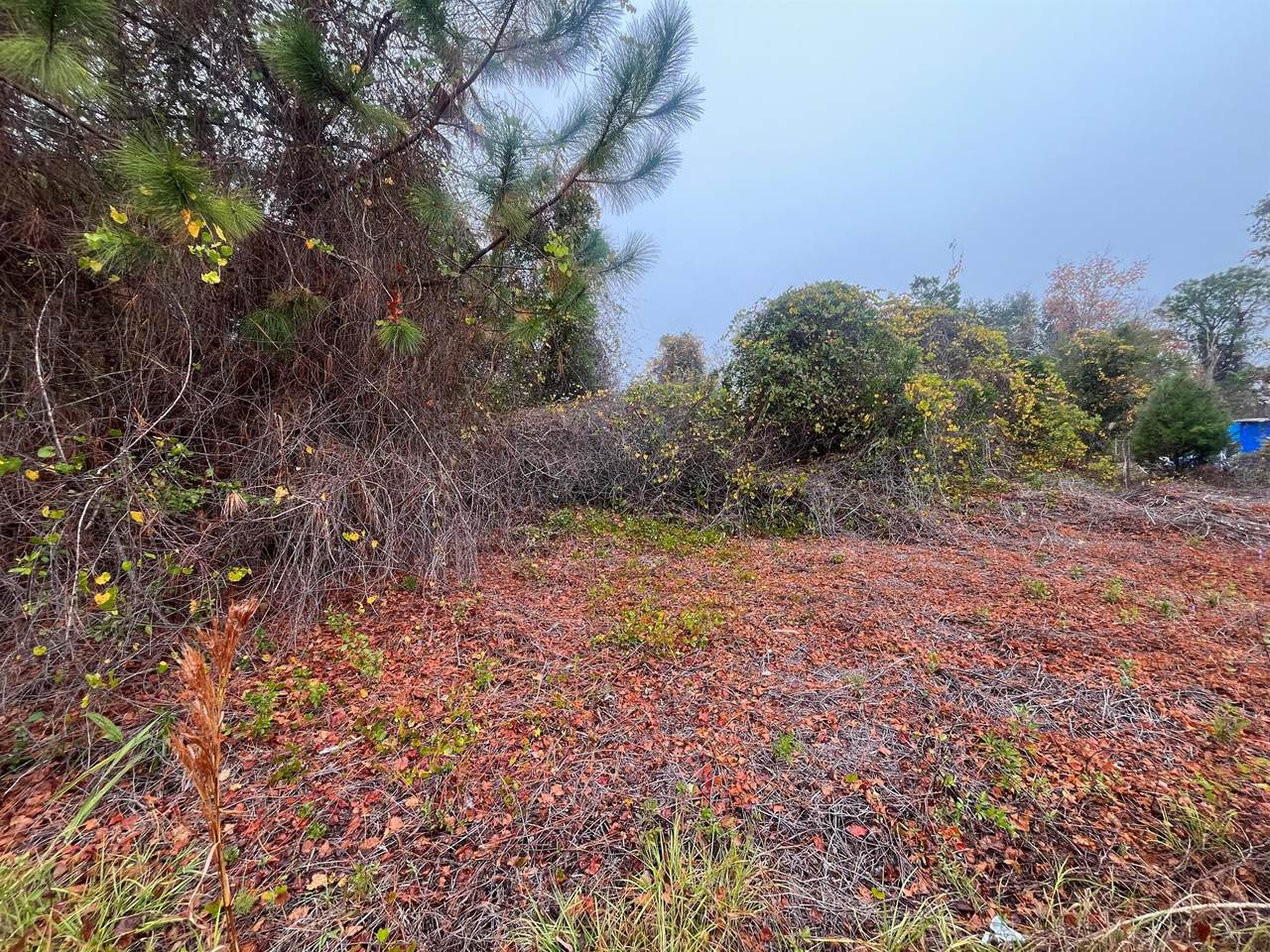 512 Dogwood Avenue - Photo 1