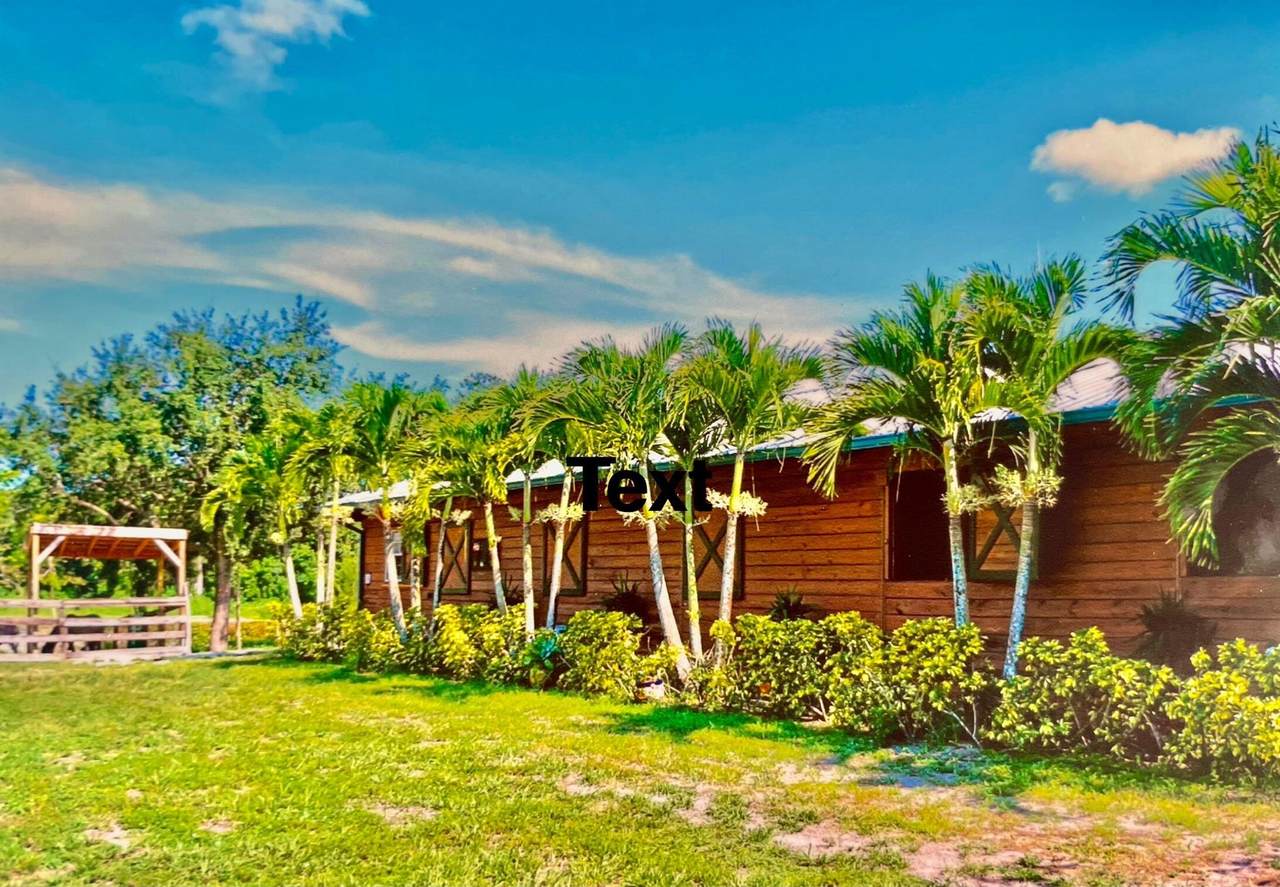 12440 Tangerine Boulevard - Photo 1