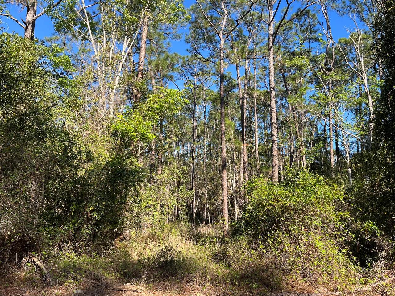 208 3rd Street - Photo 1