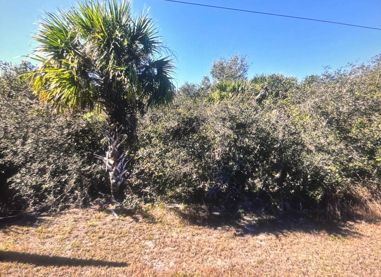 0 Old Dixie N Highway - Photo 1