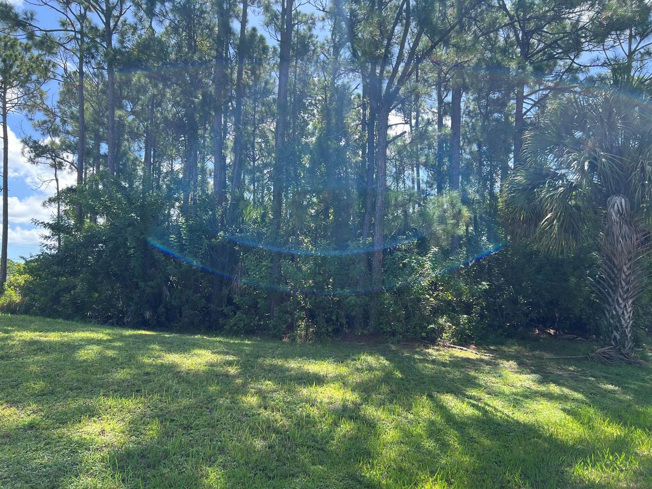 2591 Palomar Avenue - Photo 1