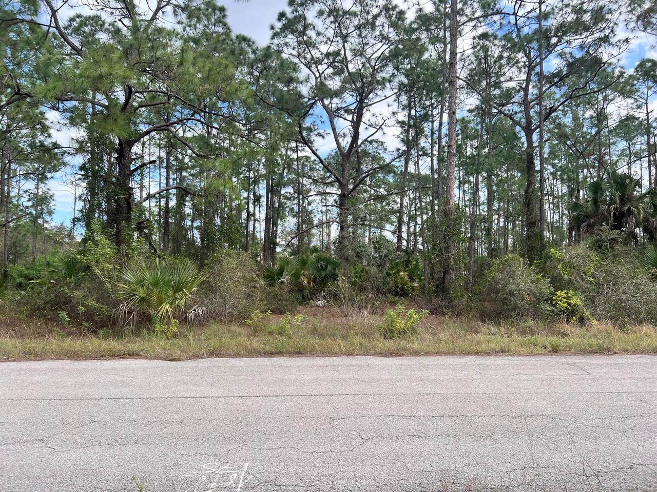 1610 Desoto Avenue - Photo 1