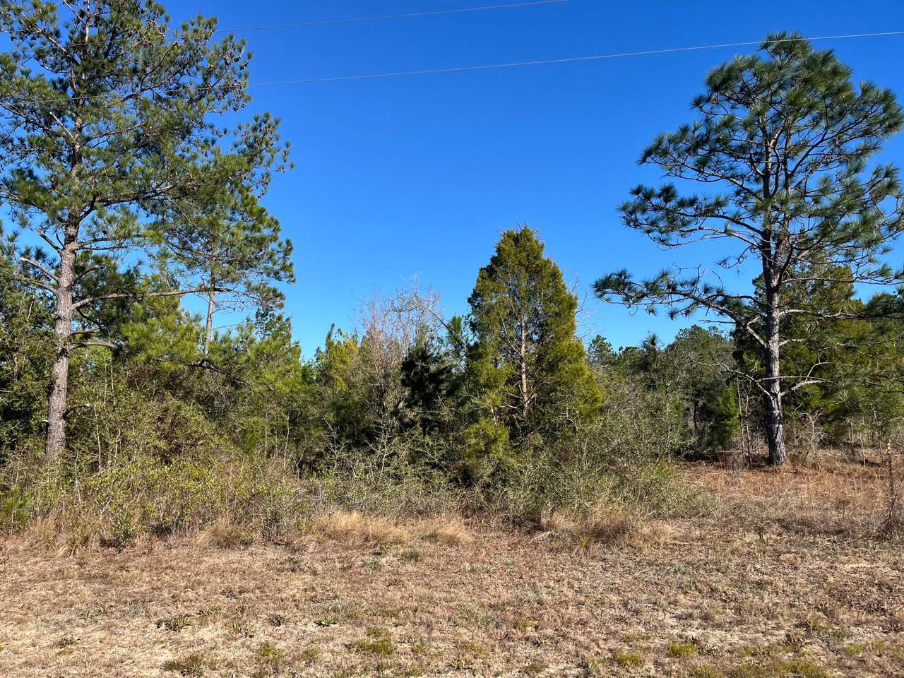 Tbd Fairview Road - Photo 1