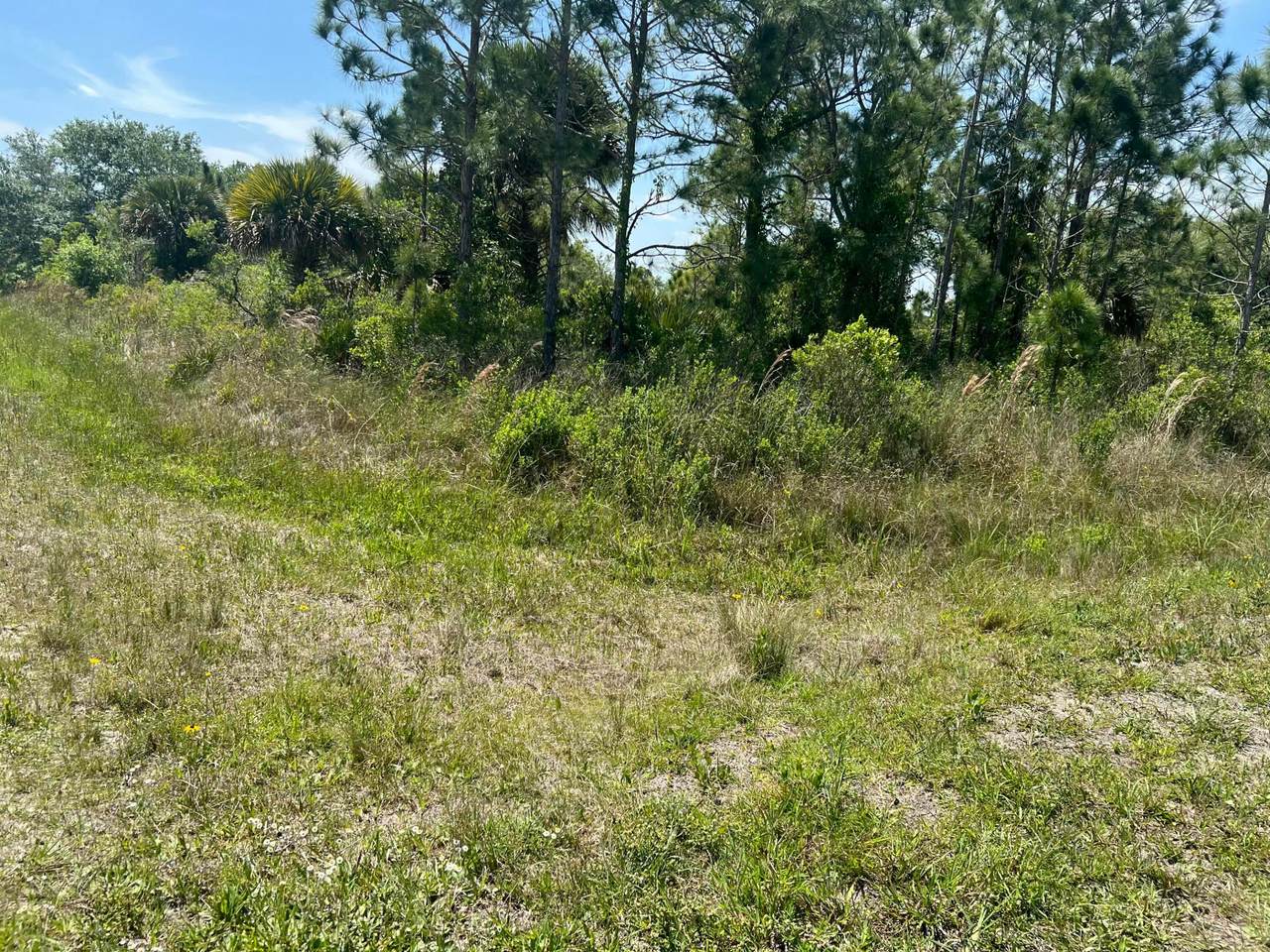 17616 300th Street - Photo 1