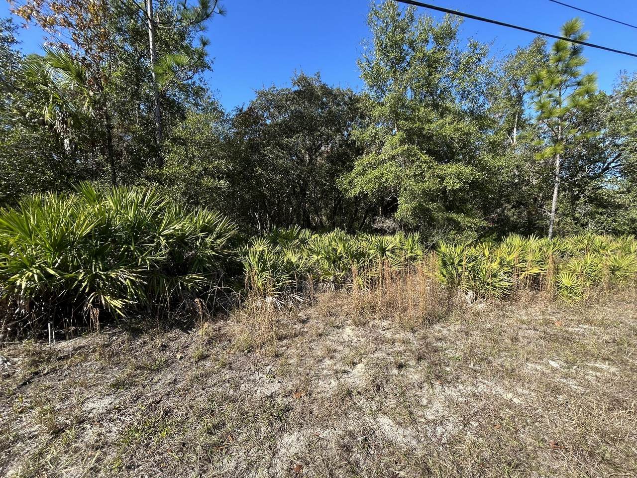 632 Dunkenfield Avenue - Photo 1