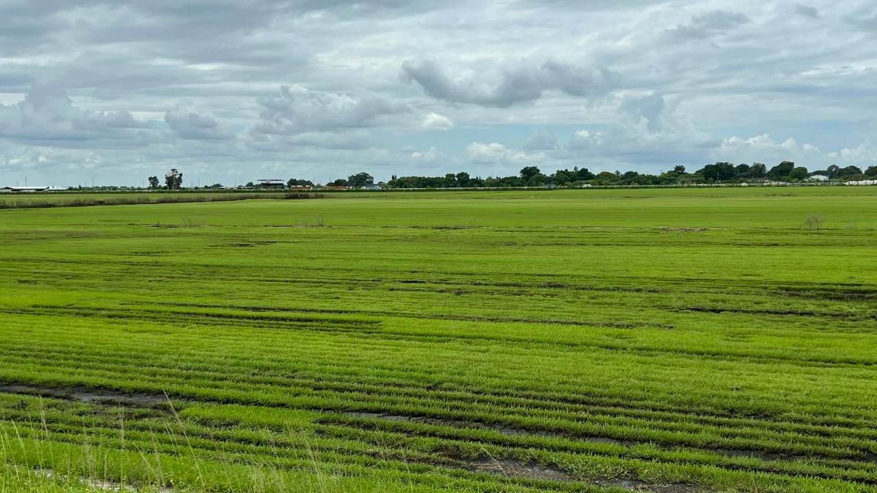 400 State Road 80 - Photo 1