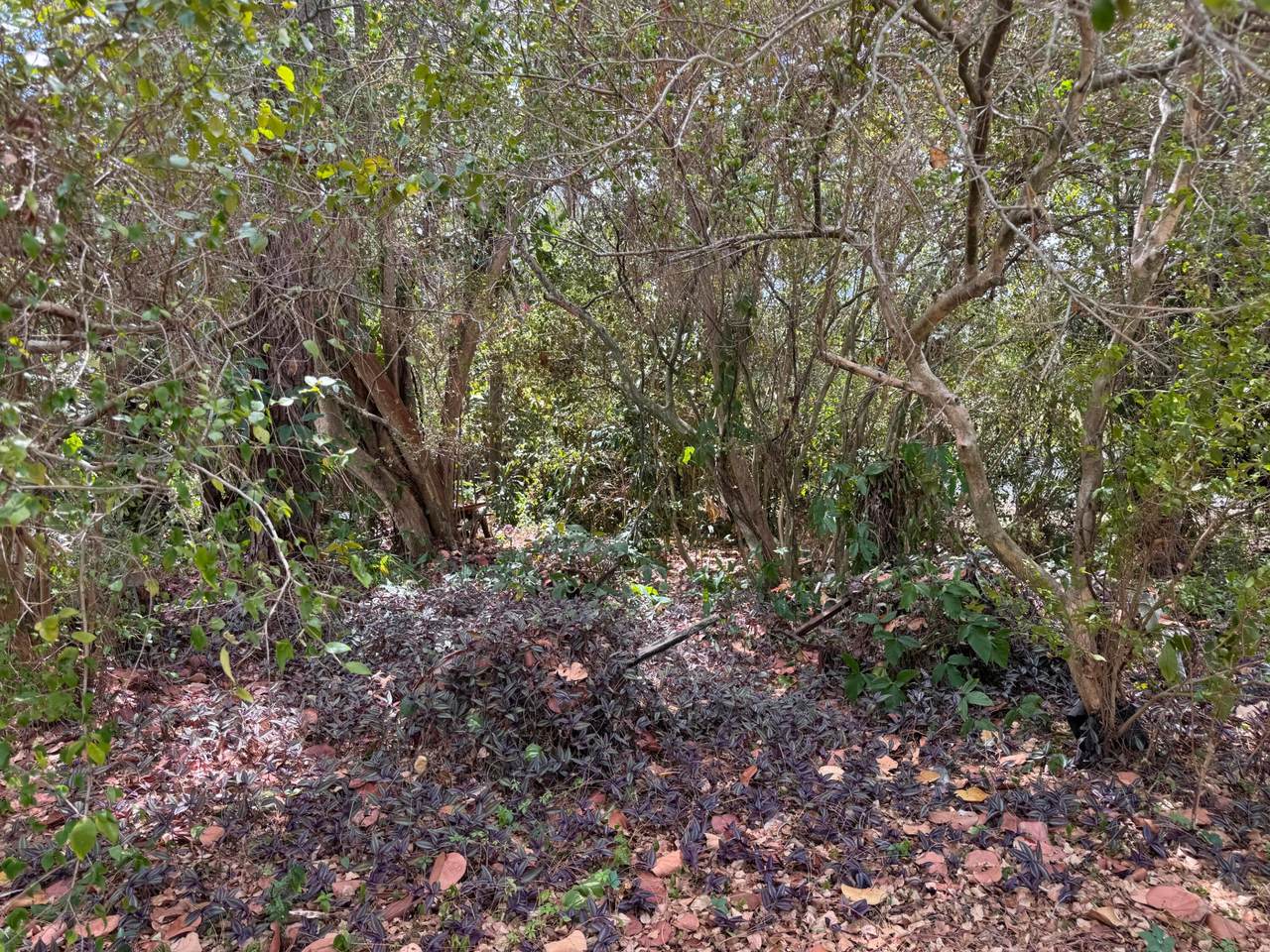 https://bt-photos.global.ssl.fastly.net/beaches/1280_boomver_2_R11149487-2.jpg