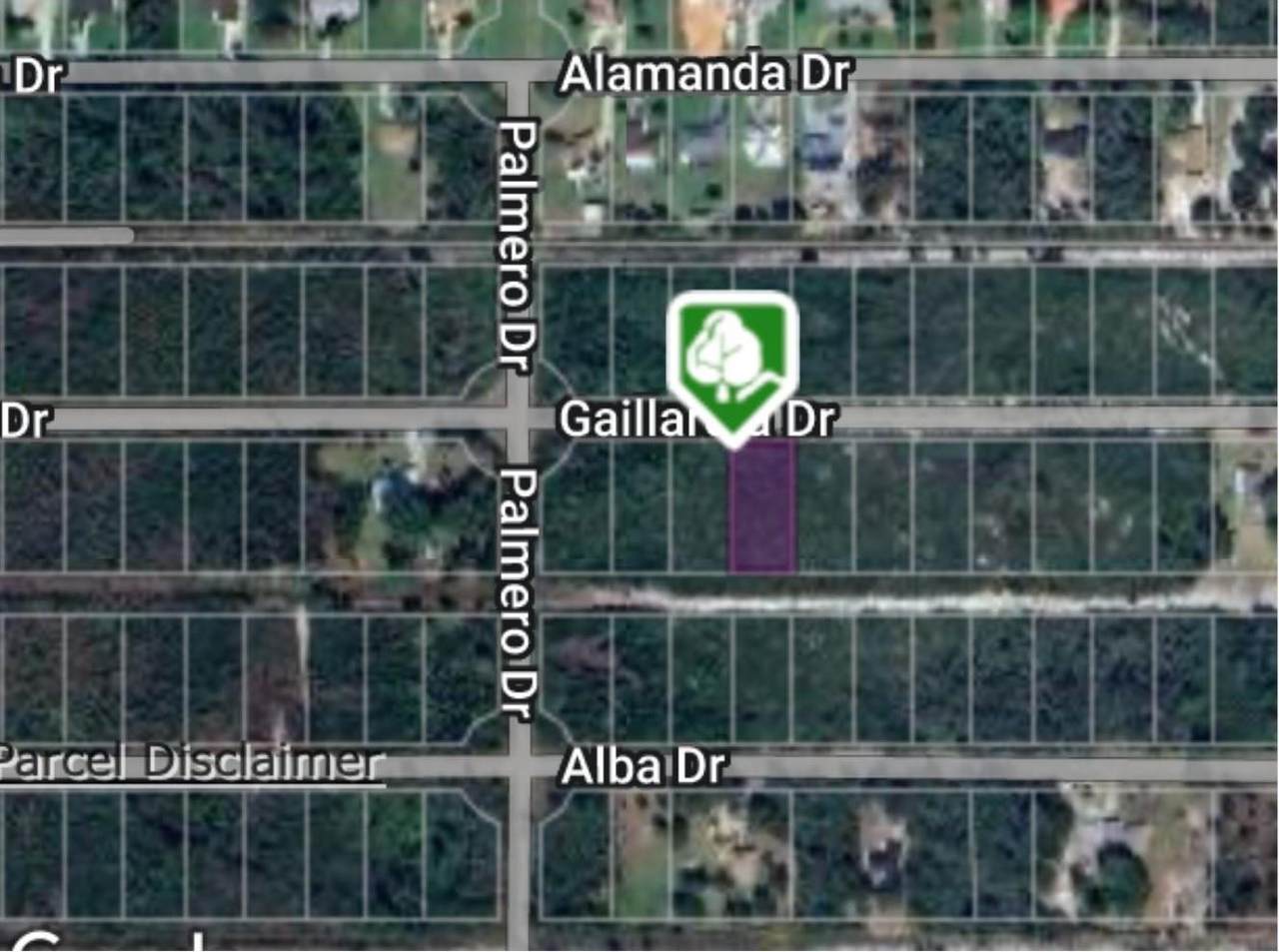 0 Gaillardia Drive - Photo 1