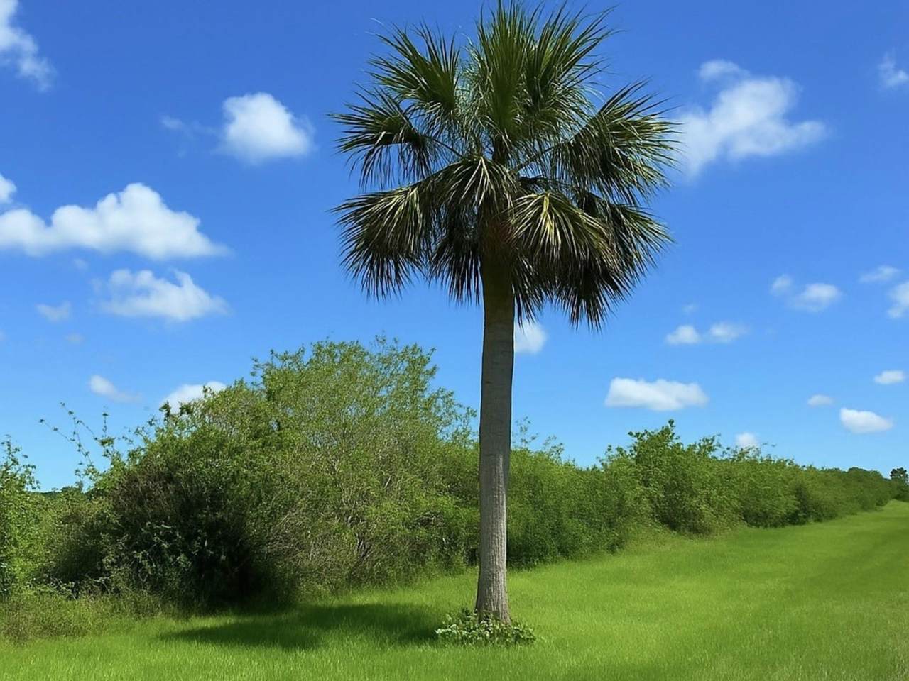 6617 26th Trail - Photo 1