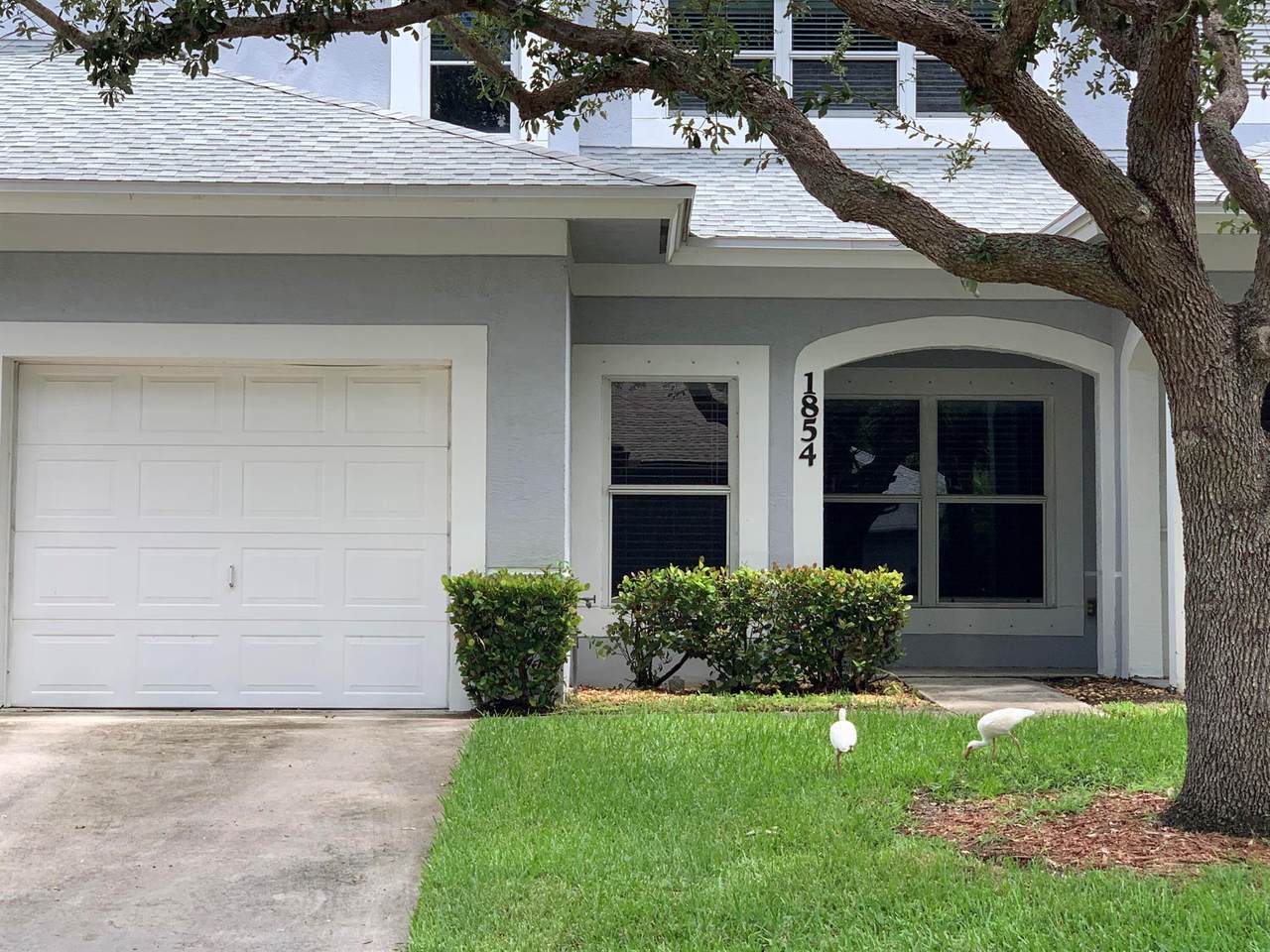 1854 Sandhill Crane Drive - Photo 1