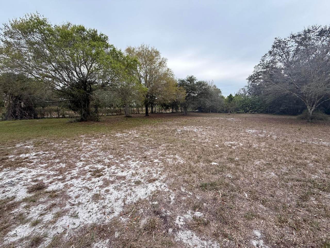754 Hunting Club Avenue - Photo 1
