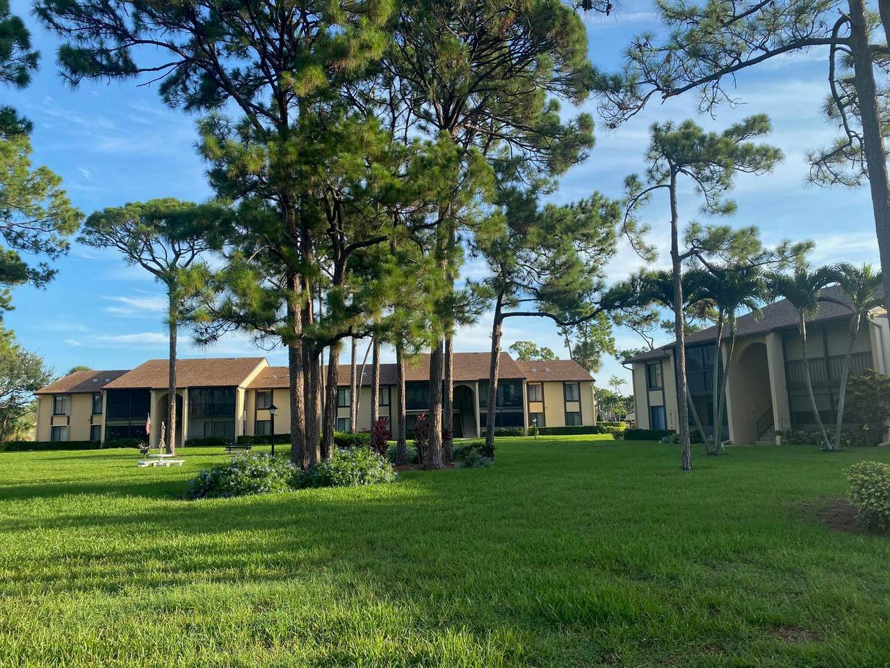 818 Sky Pine Way - Photo 1