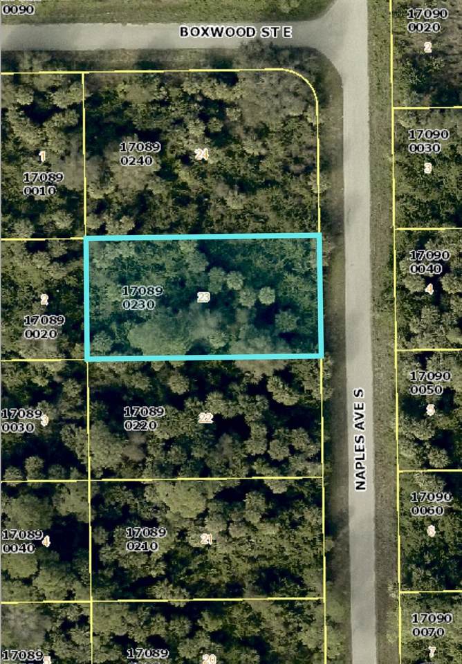 636 Naples Avenue - Photo 1