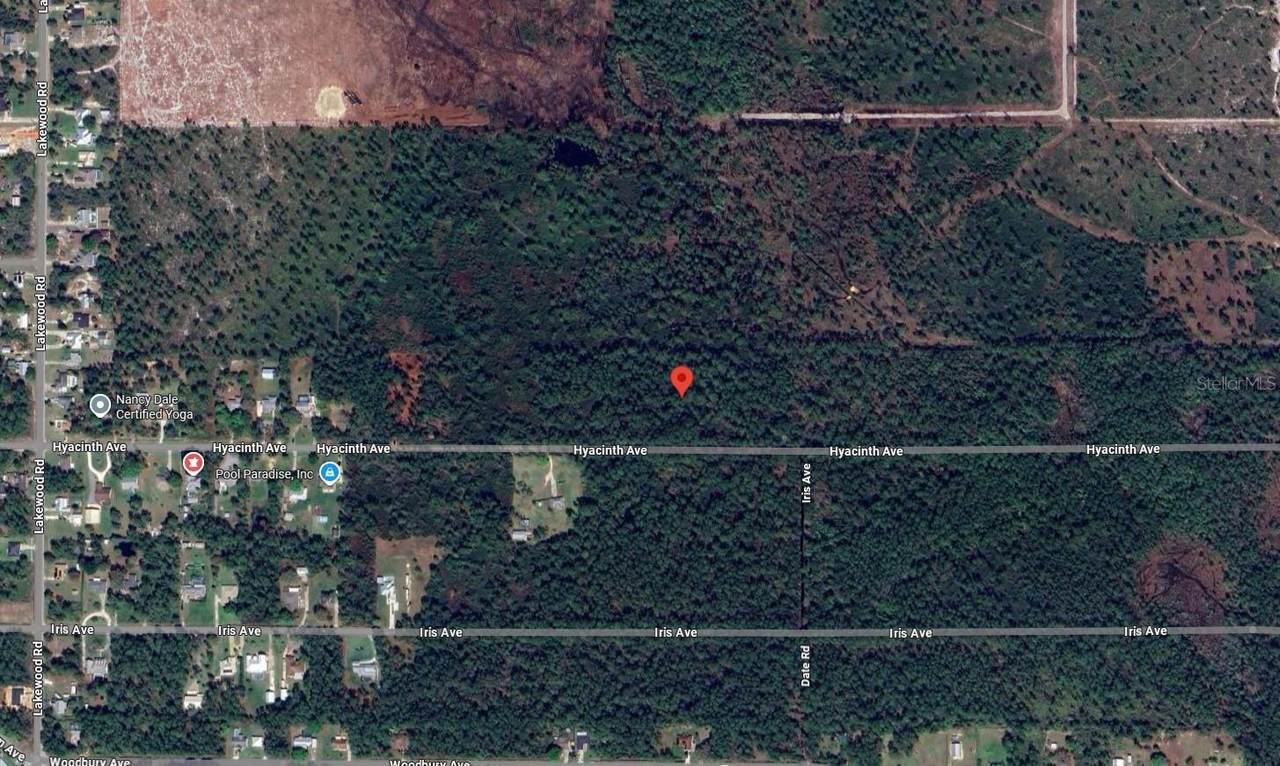 1016 Hyacinth Avenue Avenue - Photo 1