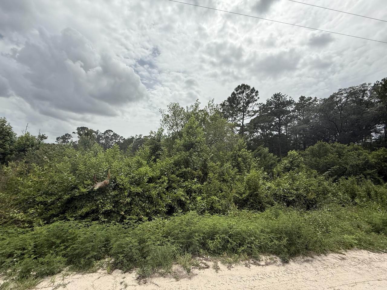 129 Fishermans Drive - Photo 1