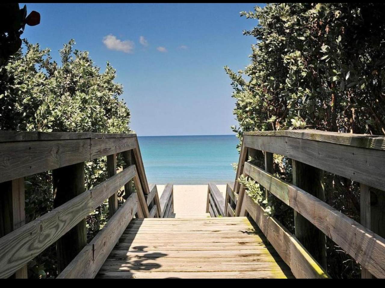 3606 Ocean Boulevard - Photo 1