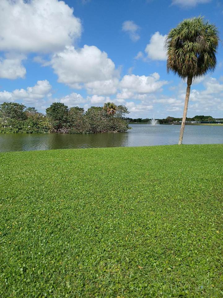92 Seville Drive - Photo 1