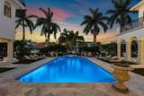 251 Coconut Palm - Photo 78