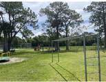 12770 Sugar Creek Drive - Photo 15
