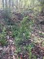 000 158 Lane - Photo 2